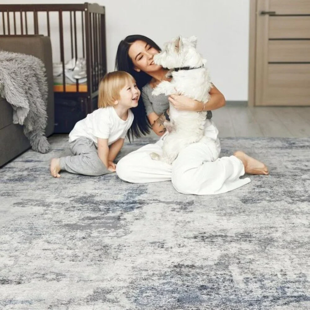 New 6x9 Grey Blue Abstract Rug, Soft Washable Low Pile Carpet for Living Room